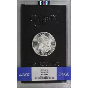1885 GSA HOARD PL (2)