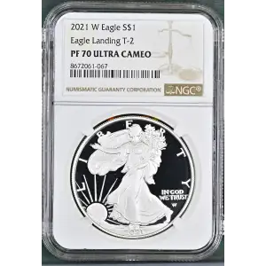 2021 W Eagle Landing T-2 ULTRA CAMEO (2)